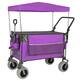 Option Purple