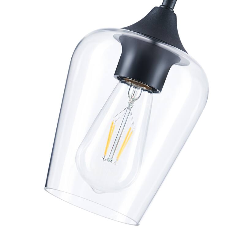 CO-Z Pendant Ceiling Light Fixture with Clear Glass Shade - Black