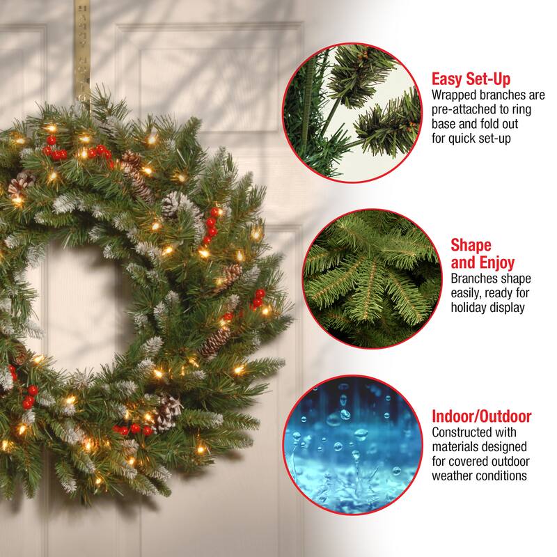 National Tree Company 2 ft. Frosted Berry Wreath with 50 Clear Lights - 2 ft