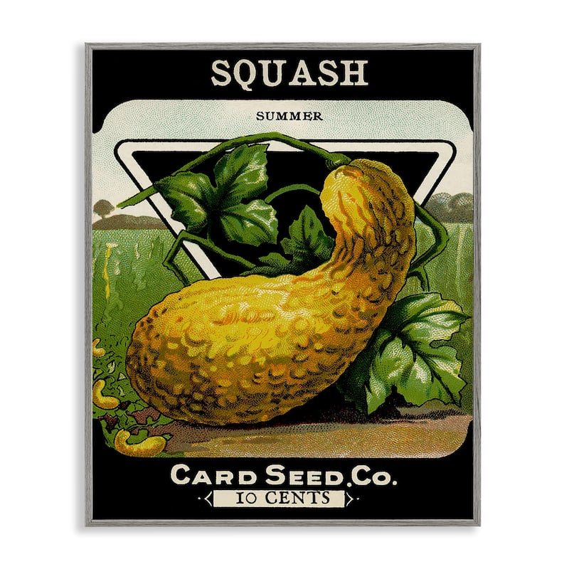 Stupell Vintage Garden Squash Framed Giclee Art Design By Lil' Rue - 16 x 20 - Grey