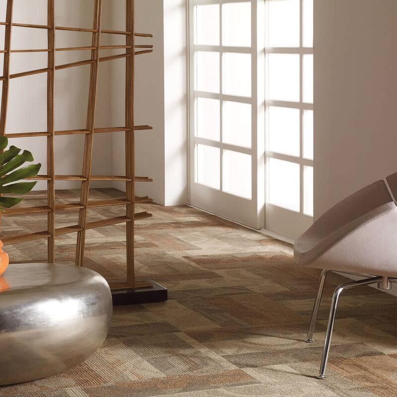 Shaw Philadelphia Commercial Feed Back 24" x 24" Glue Down Carpet Tile