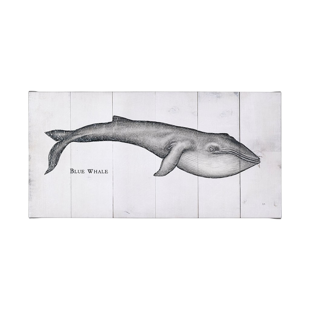 Blue Whale (50 x 30) Canvas Art Print