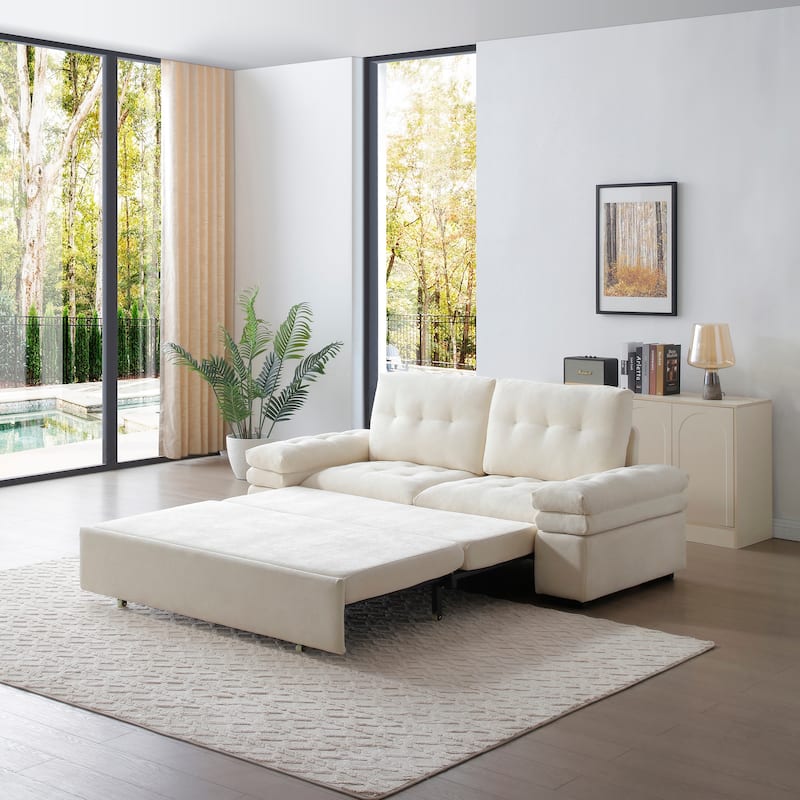 Sleeper Sofa