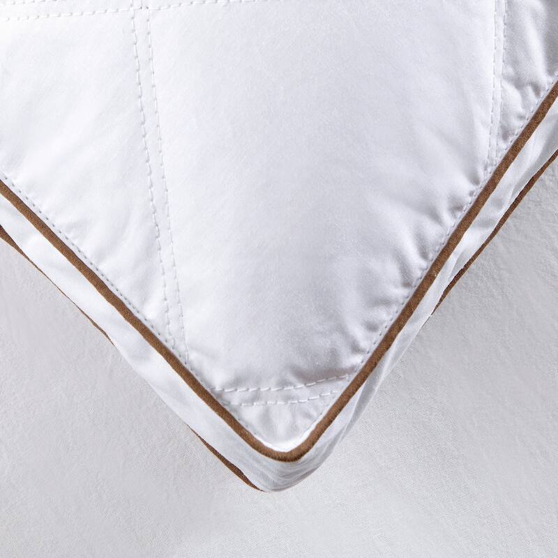 2 Pack Soft Gusseted Goose Feather Down Bed Pillows - White