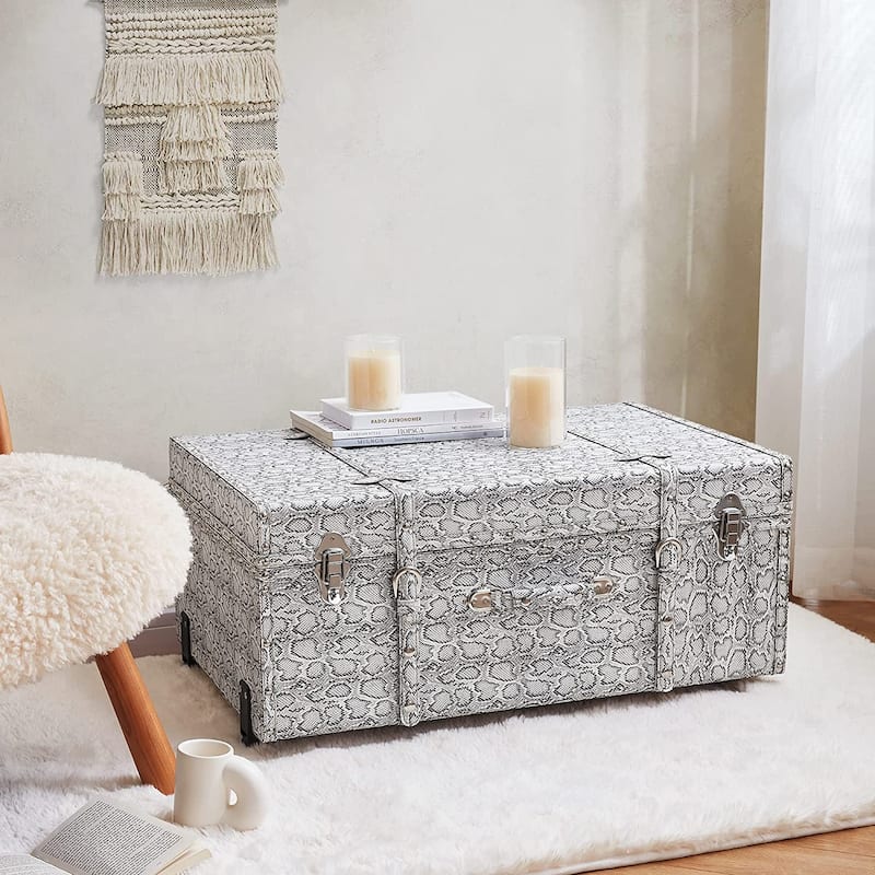 Texture® Brand Trunk - Faux Snakeskin by DormCo - 29"L x 20"W x 14"H - Silver