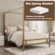 Option Gold Tan Linen