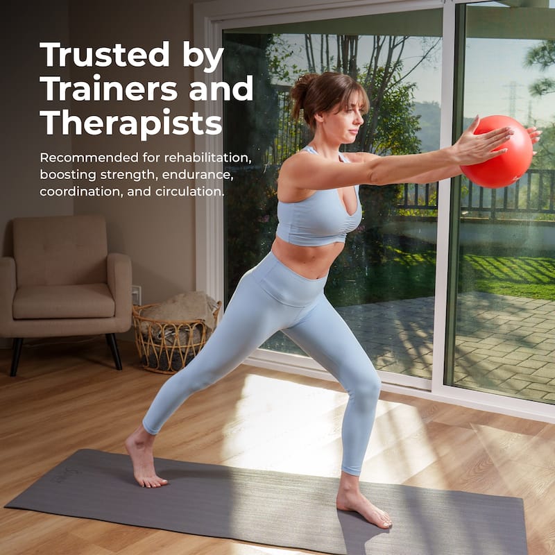 Sunny Health & Fitness Premium Pilates Ball 9" - SF-EB01-RD