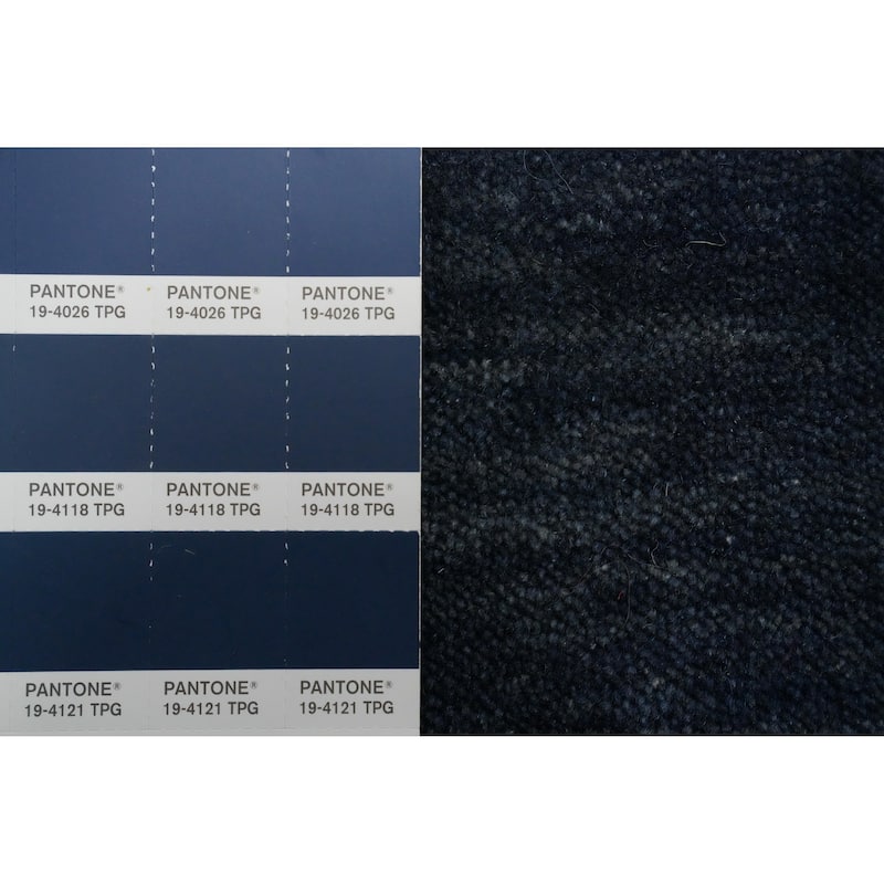 Hand Knotted Oriental 100% Wool Carpet Tribal Animal Pictorial Navy Blue & Blues Gabbeh Area Rug - 9' 10'' X 10' 0''