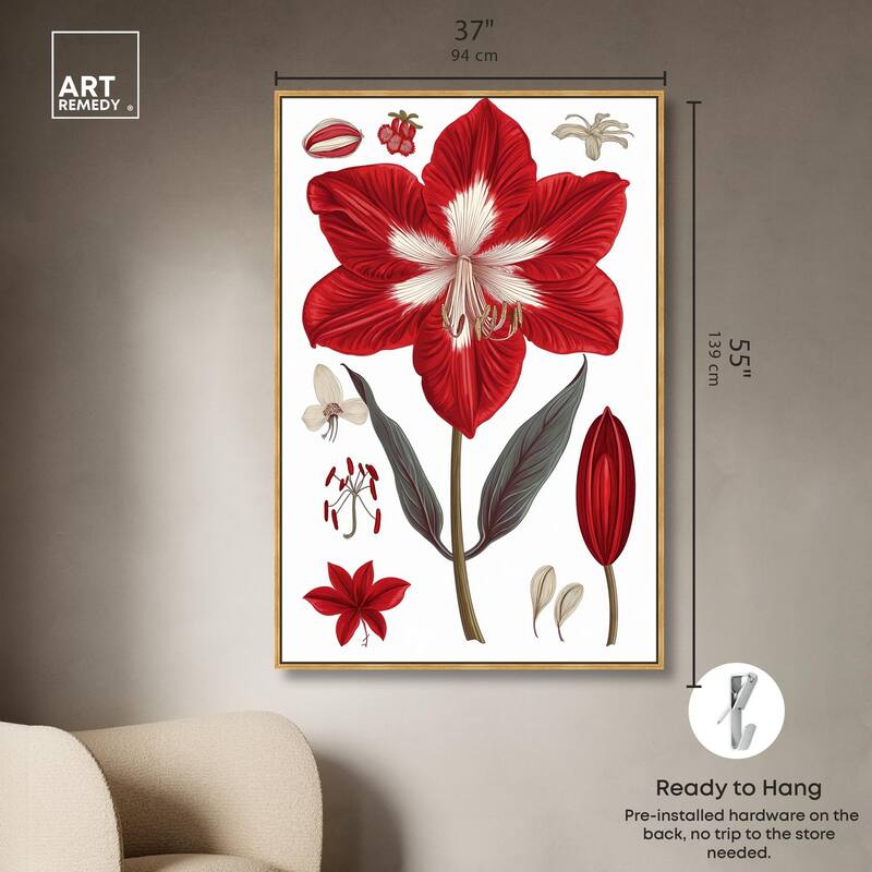 Amaryllis Anatomy Canvas by Art Remedy