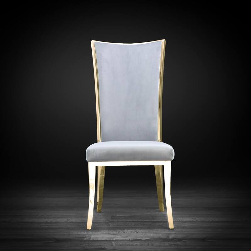Massimo Titanium Gold Stainless Steel Dining Chair, Set of 2