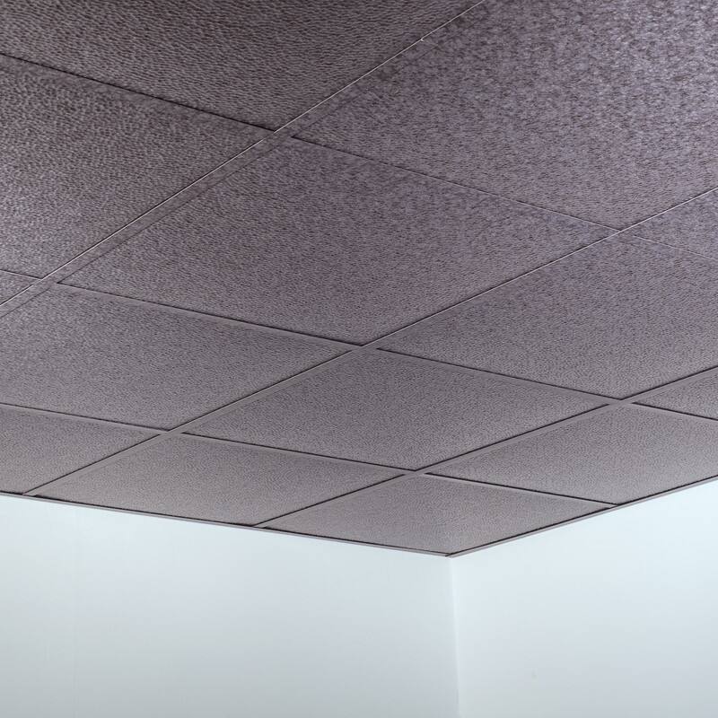 FASÄDE Border Fill Decorative Vinyl 2ft x 2ft Lay in Ceiling Panel in Galvanized Steel (5 Pack)
