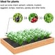 preview thumbnail 3 of 3, Agfabric Weed Barrier with Holes Landscape PP Woven Weed Block, 3.0oz
