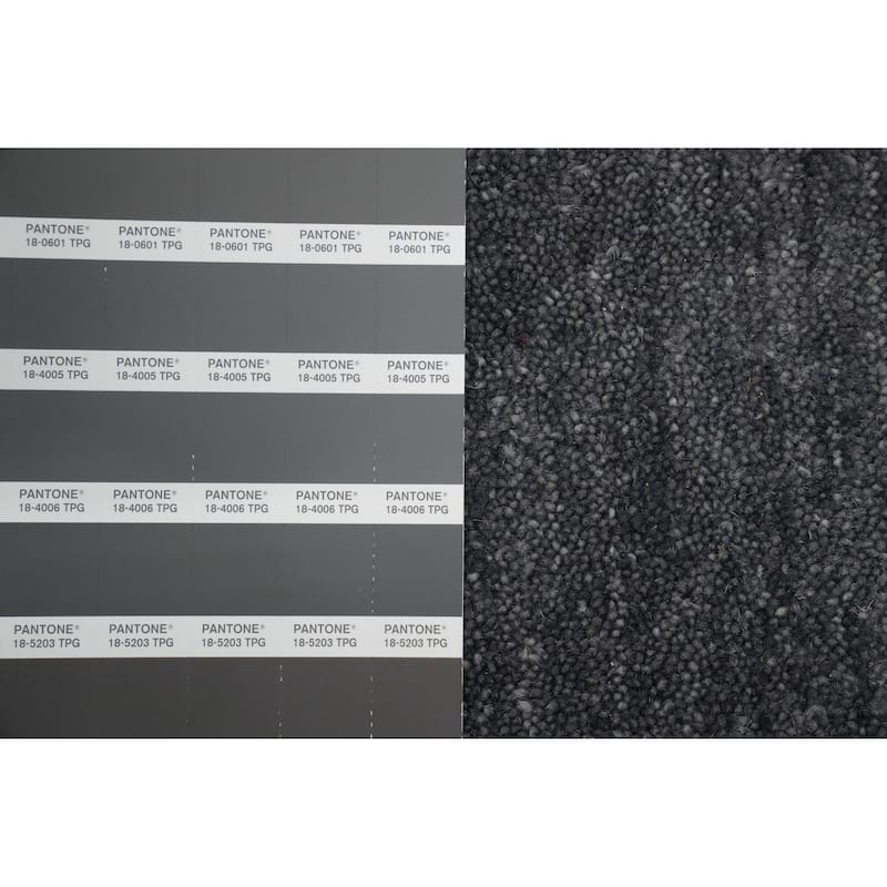 Hand Knotted Oriental 100% Wool Carpet Tribal Animal Pictorial Greys & Charcoal Gabbeh Area Rug - 6' 0'' X 5' 11''