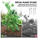 preview thumbnail 13 of 34, Outsunny 2PCS Galvanized Raised Garden Bed, Raised Beds for Gardening with Plant Support Stakes and Rubber Strap Edging