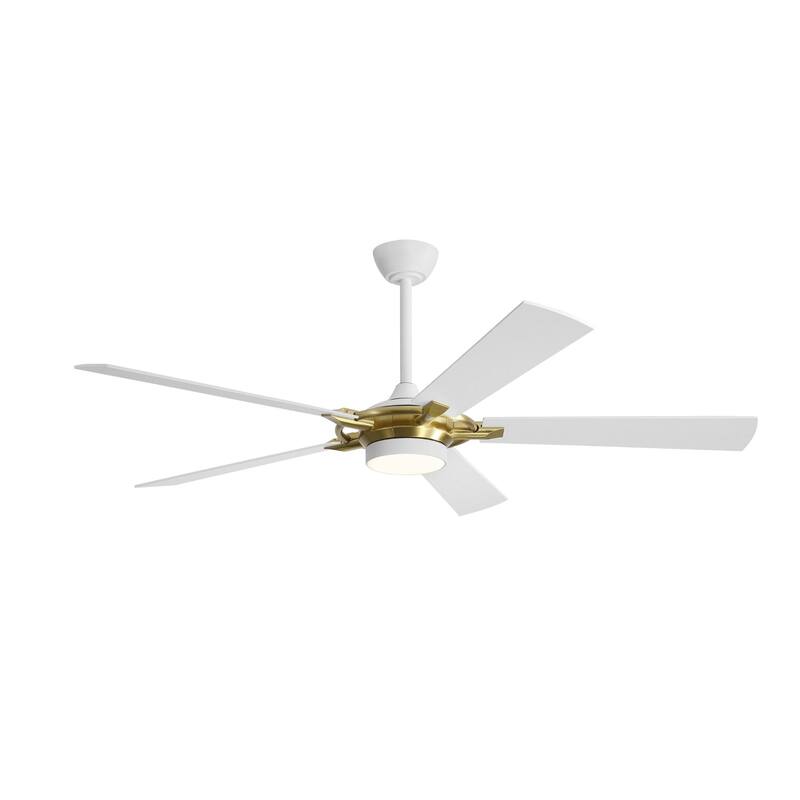 MLiAN 60 In. 5-Plywood Blades Indoor Ceiling Fan with Light Kit and Remote