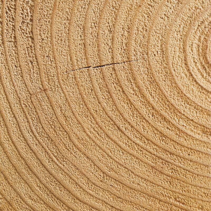 Art Leon Rectangular Tree-Trunk End Table