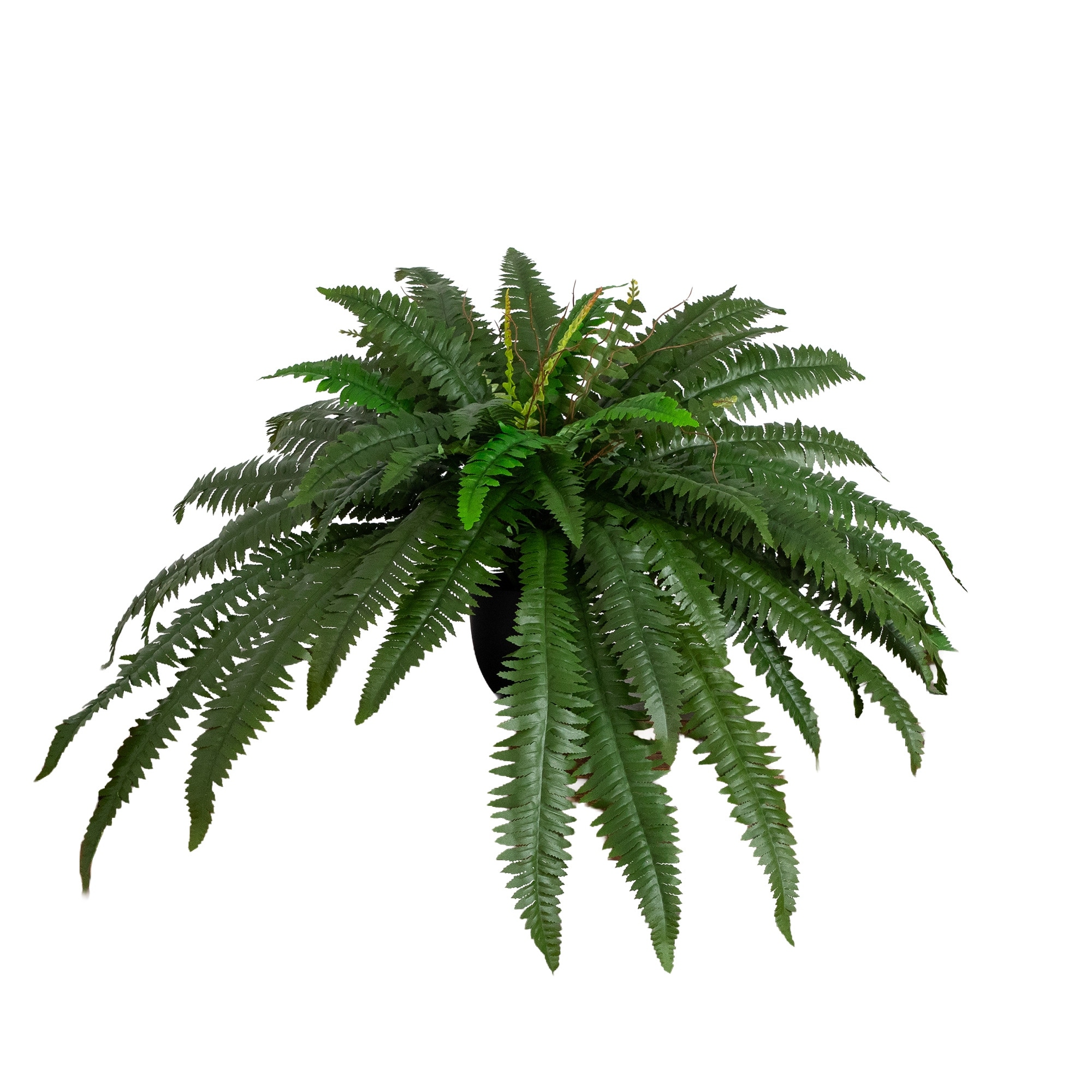 32-in Artificial Self-Shaped Boston Fern Plan in Black Planter