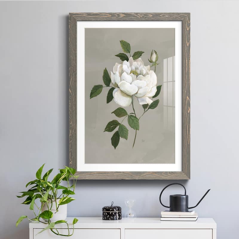 Botanical Rose-Premium Framed Print - Ready to Hang