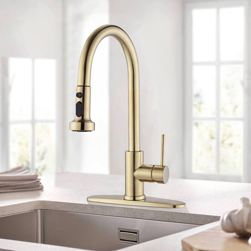 Topcraft Pull Down Single Handle Kitchen Faucet with Baseplate