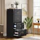 Option Black (1-PC)
