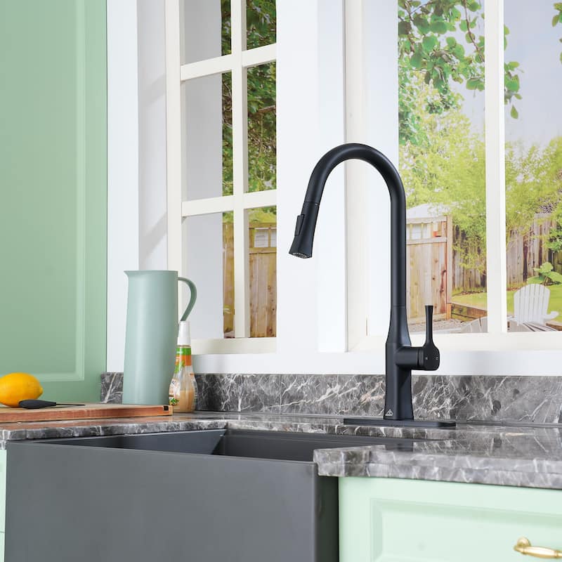 Single-Handle Pull-Out Sprayer Kitchen Faucet - Matte Black