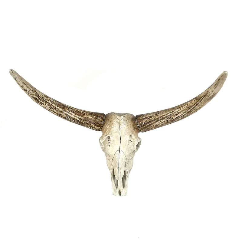 Resin Steer Skull Wall Decor