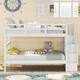 Option White