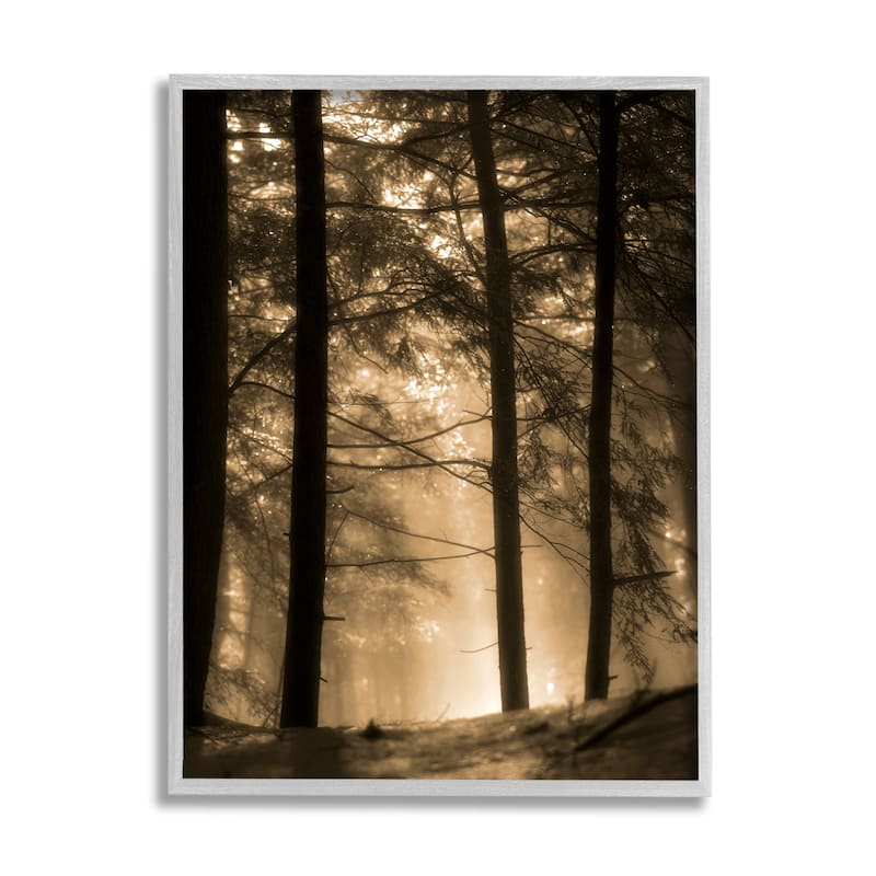 Stupell Light Through Forest Tree Top Foggy Woodland Photography Framed Wall Art - Yellow