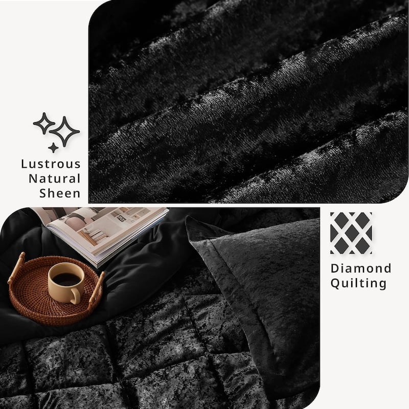 Intelligent Design Isabel Velvet Comforter Set