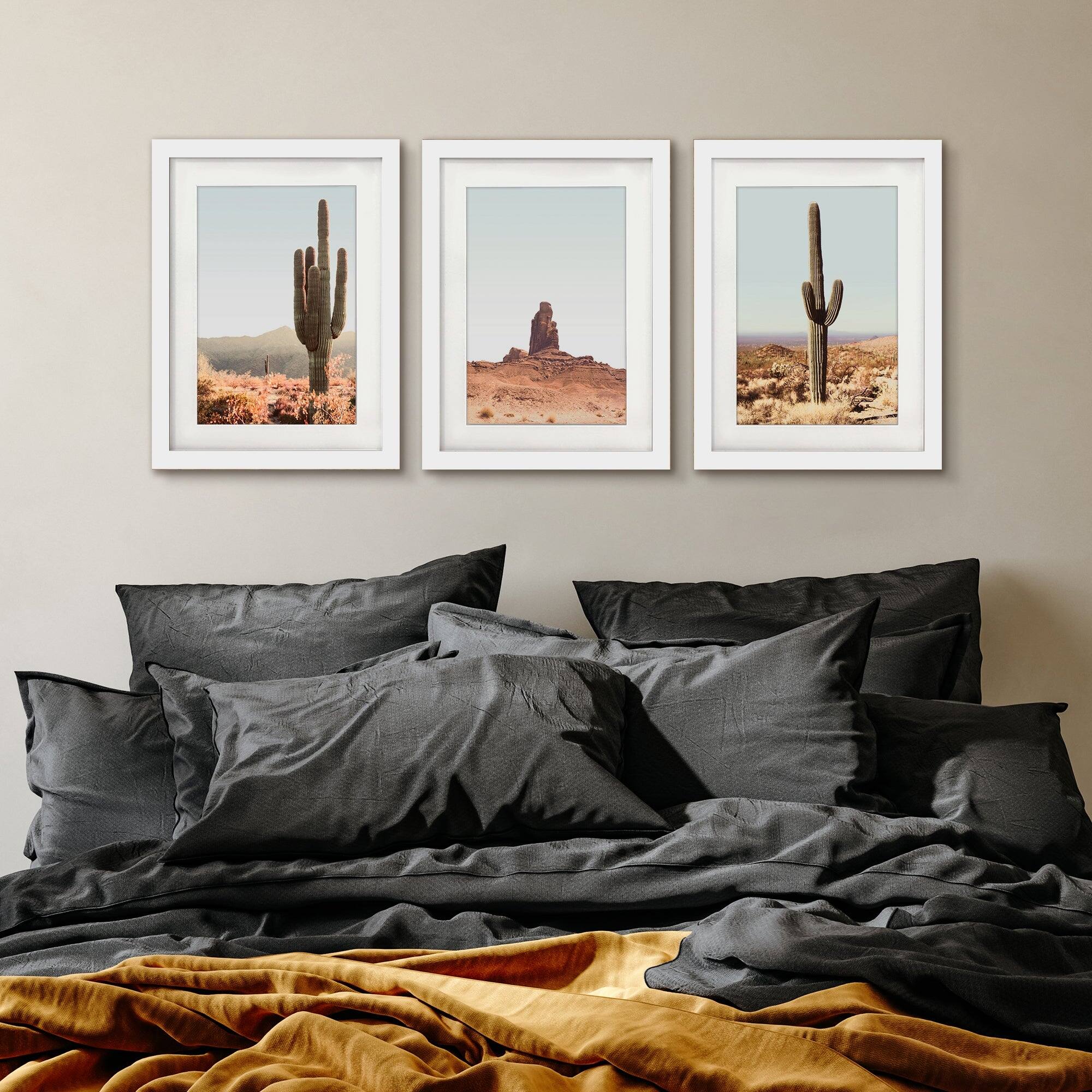 Desert Cactus Tanya Shumkina Contemporary 2 3 Piece Framed Gallery