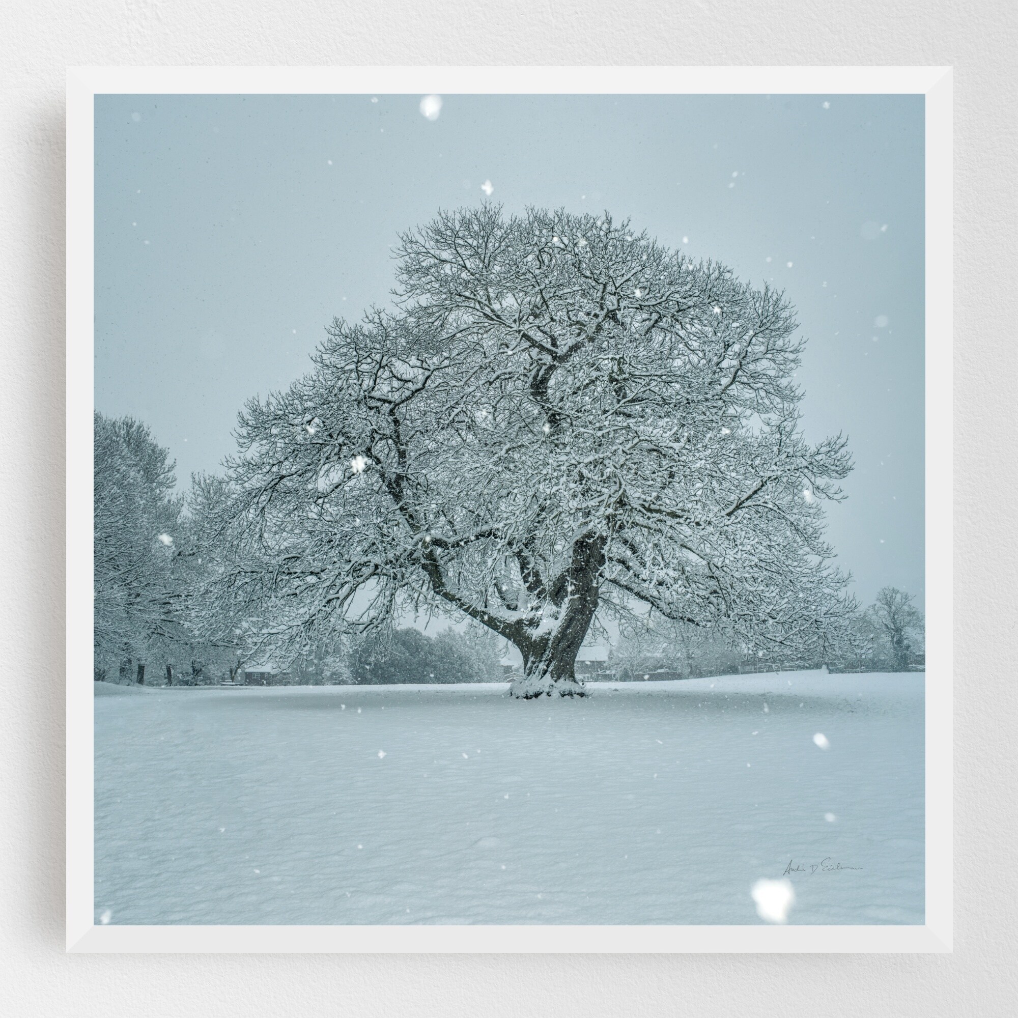 Shop Landscape Nature Snow Winter Framed Wall Art Print