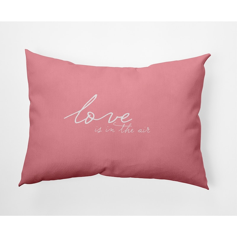 Love in the Air Valentine's Day Decorative Indoor/Outdoor Pillow - 14" x 20" - Pink Icing