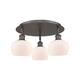 Option Oil Rubbed Bronze / Matte White