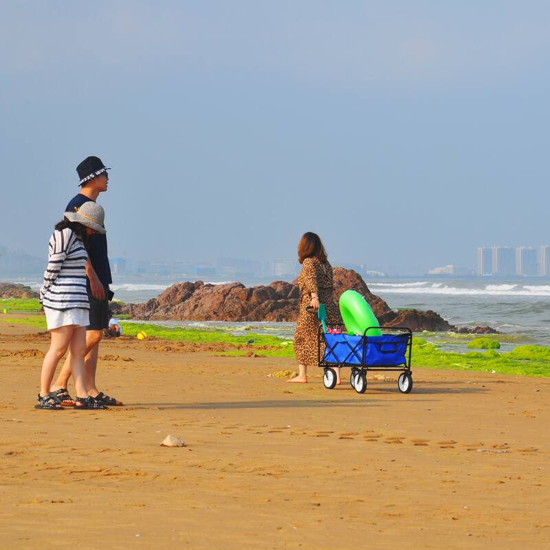 Folding Wagon Garden Shopping Beach Cart
