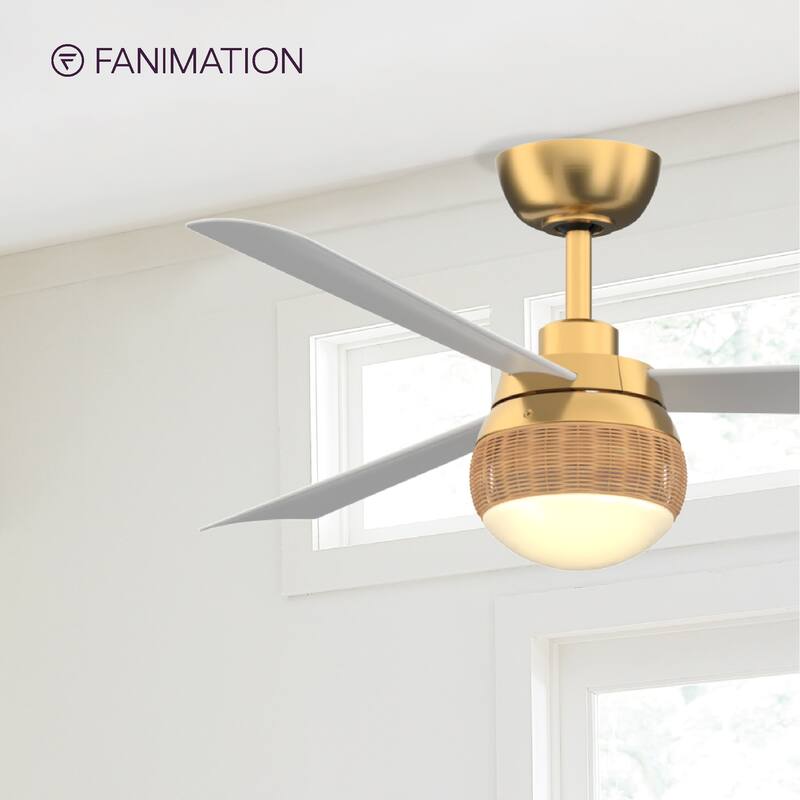 Paget 52 inch Indoor/Outdoor Smart Ceiling Fan with LED Light Kit and Remote