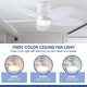 preview thumbnail 17 of 26, 42 Inches Flush Mount Ceiling Fan with Light and Palm Leaf ,3CCT Dimmable LED Integrated,for Indoor and Outdoor - 42 Inches