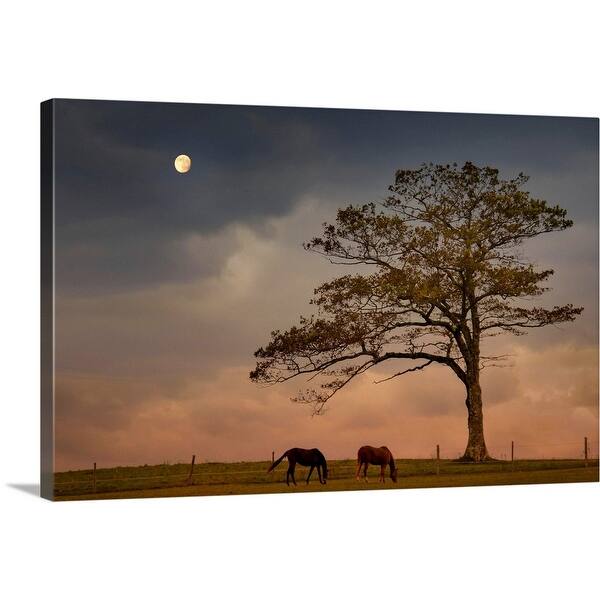 Shop Two Horses Grazing On Hilltop Pasture Under Lone Tree In Early Evening Canvas Wall Art Overstock