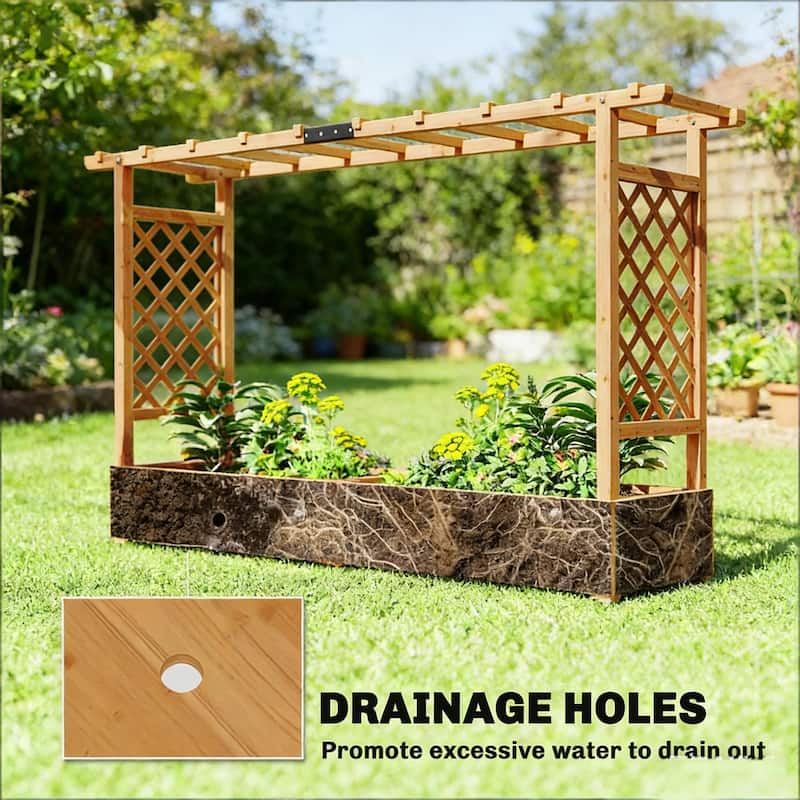 Raised Planter Garden with Trelli, Drainage for Tomatoe Climbing Plant