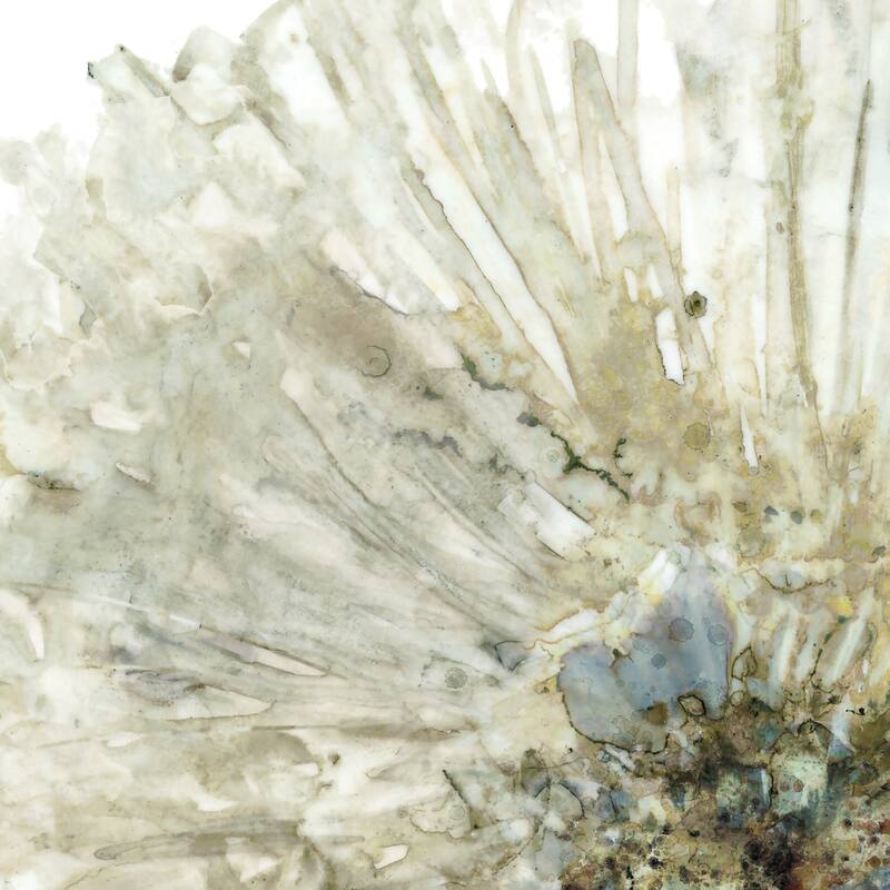 Ivory Spring I, II by Carol Robinson Canvas Art Prints