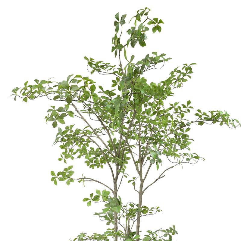 Bonsai Tree In Strawgrass Planter - 90