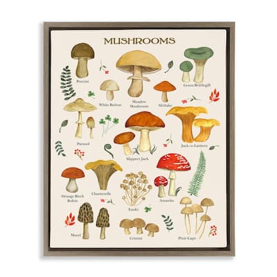 Stupell Foraging Mushrooms Studies Framed Floater Canvas Wall Art Design by Sharon Lee