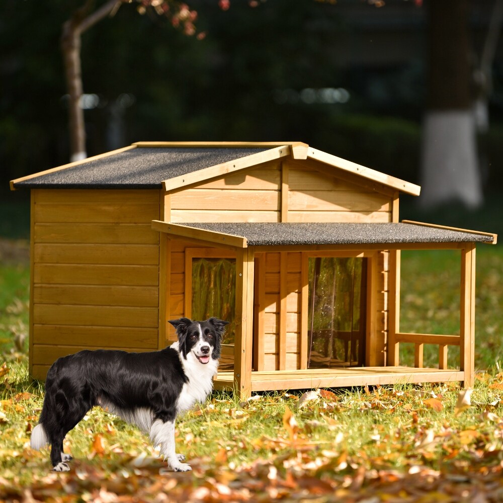 Large dog outdoor house on sale