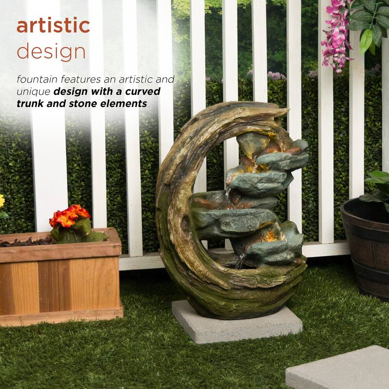 Curved Trunk and Stone Fountain