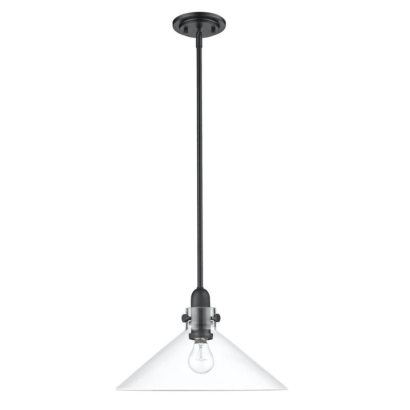 Dwyer 1-light Pendant w/ Clear Glass