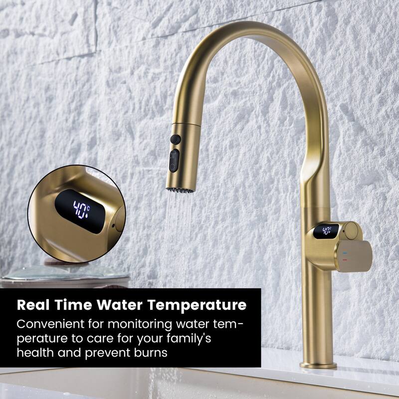 Single Handle Kitchen Sink Faucet with Pull Down Sprayer Brass Pull Out Kitchen Vanity Faucets with Temperature Display
