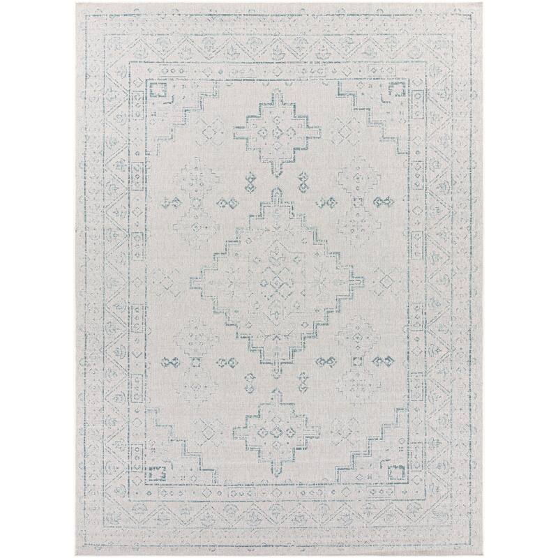 Susannah Indoor / Outdoor Updated Traditional Area Rug