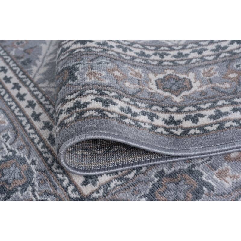 Carrington Traditional Oriental Indoor Area Rug