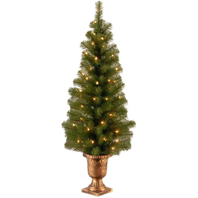 National Tree Company 4 ft. Montclair Spruce Entrance Tree with Clear Lights