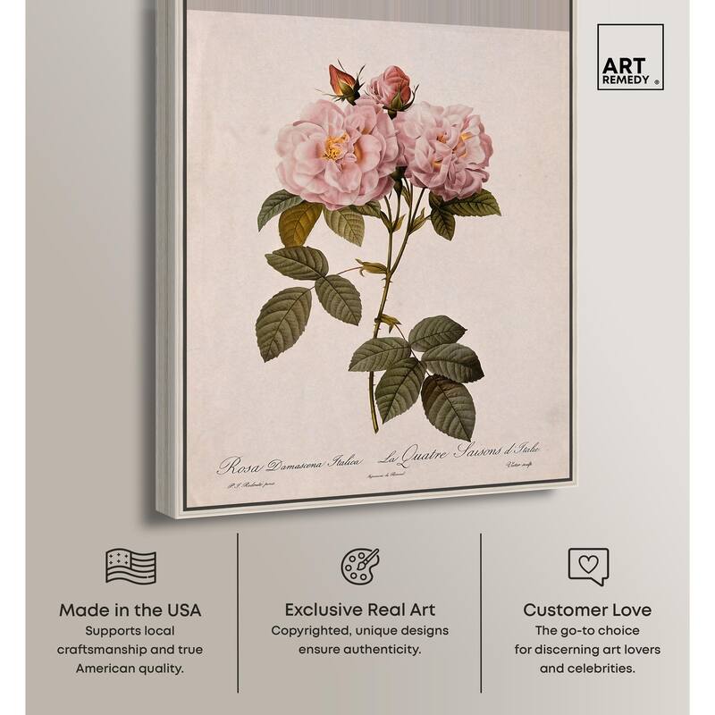 Damask Rose Canvas by Art Remedy