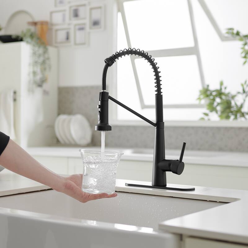 WIZ Single-Handle Pull-Down Sprayer 2 Spray High Arc Kitchen Faucet